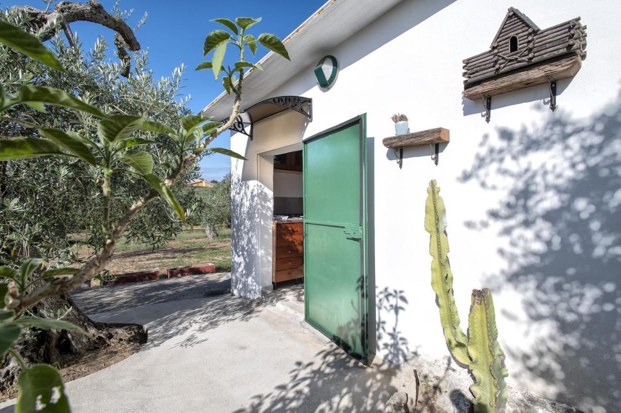 Casa Rina Villa ซัสซารี ภายนอก รูปภาพ